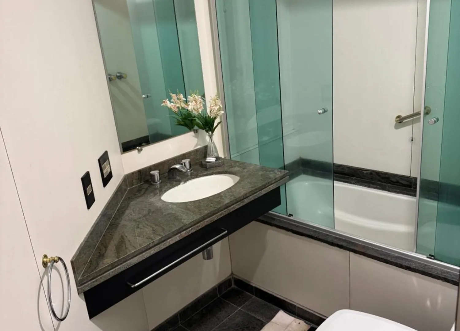 R Oscar Freire Premium Apartment Sao Paulo Brazil